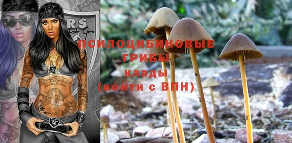 герыч Кинешма