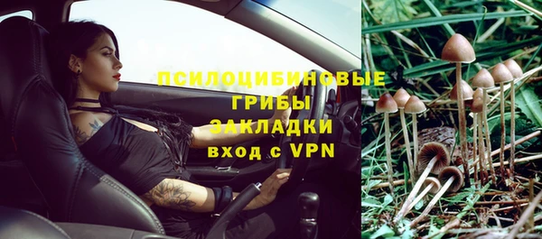 Альфа ПВП Ростов
